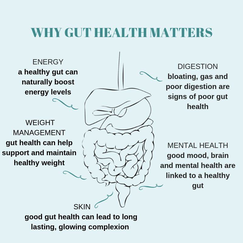 Gut health and energy levels