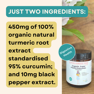 Super Potent, Gut Loving Curcumin and Black Pepper, 90 Caps, Nutritionist-Grade